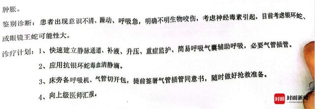 银环蛇或眼镜王蛇咬伤用抗银环蛇毒血清抢救不朽情缘三亚女游客事件抢救记录曝光：判断(图3)