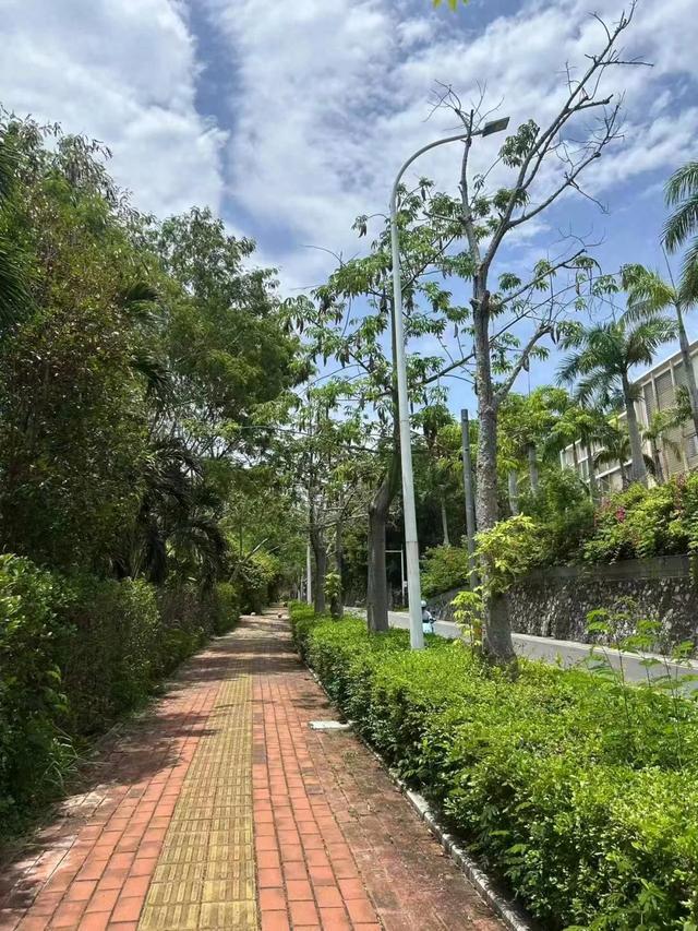 银环蛇或眼镜王蛇咬伤用抗银环蛇毒血清抢救不朽情缘三亚女游客事件抢救记录曝光：判断(图4)
